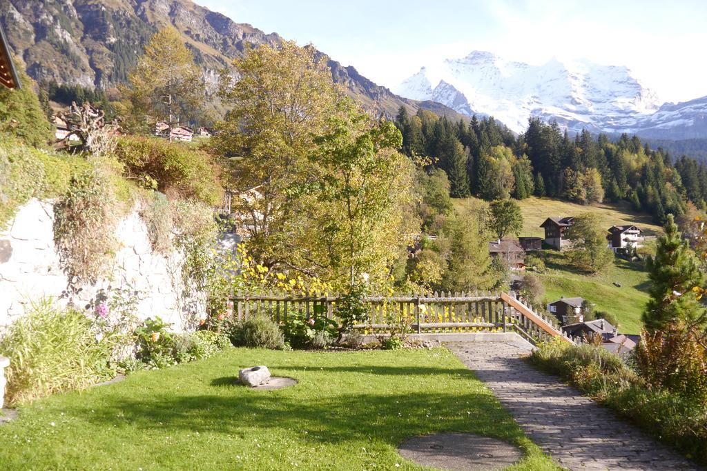 Chalet Acheregg Wengen Extérieur photo