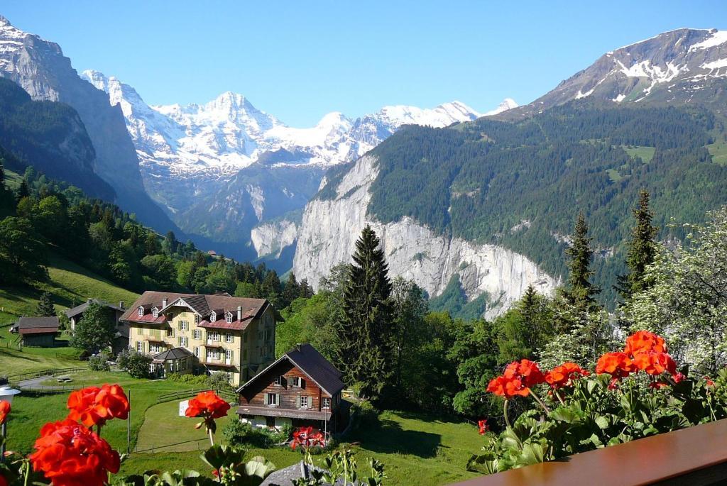 Chalet Acheregg Wengen Extérieur photo